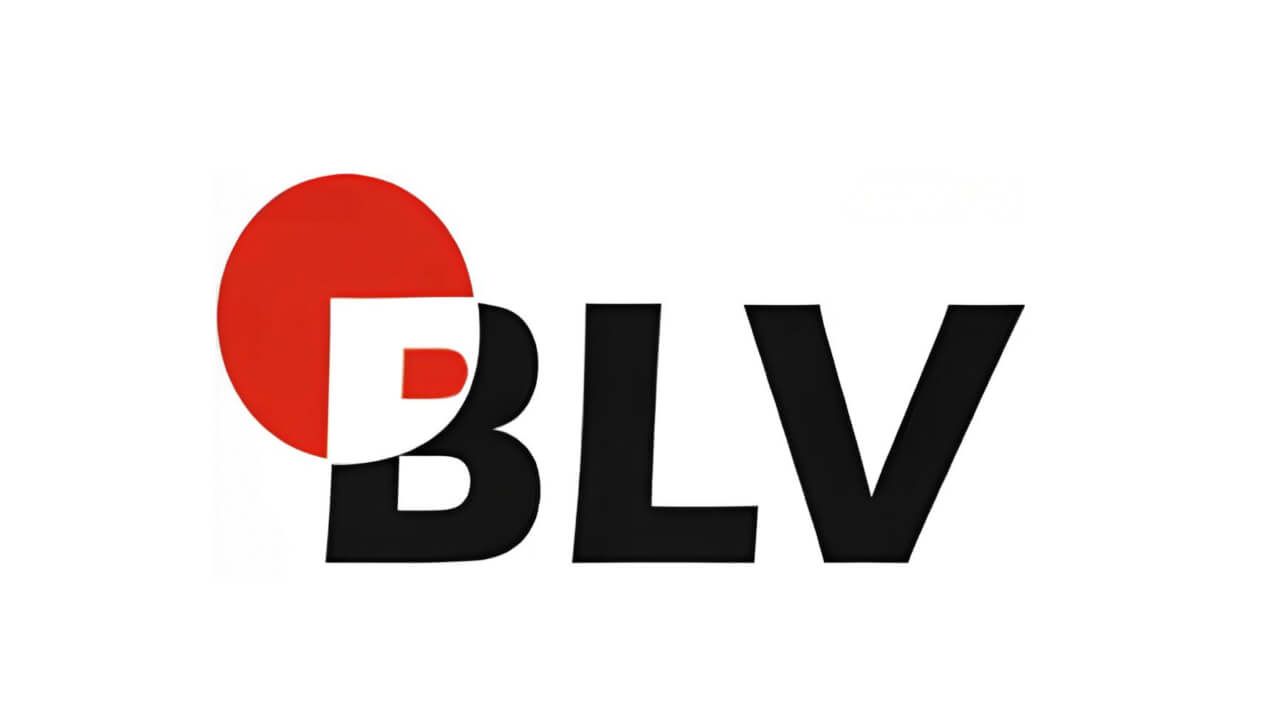 BLV Elektrik Elektronik